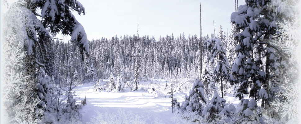 Wnter Ski Season is almost here!