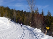loppet-2014-025