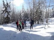 -16 To town View