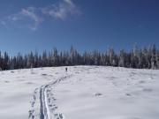 -16 To town View