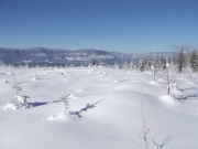 -16 To town View