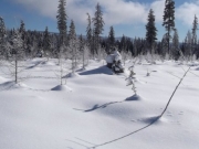 -16 To town View