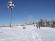 -16 To town View