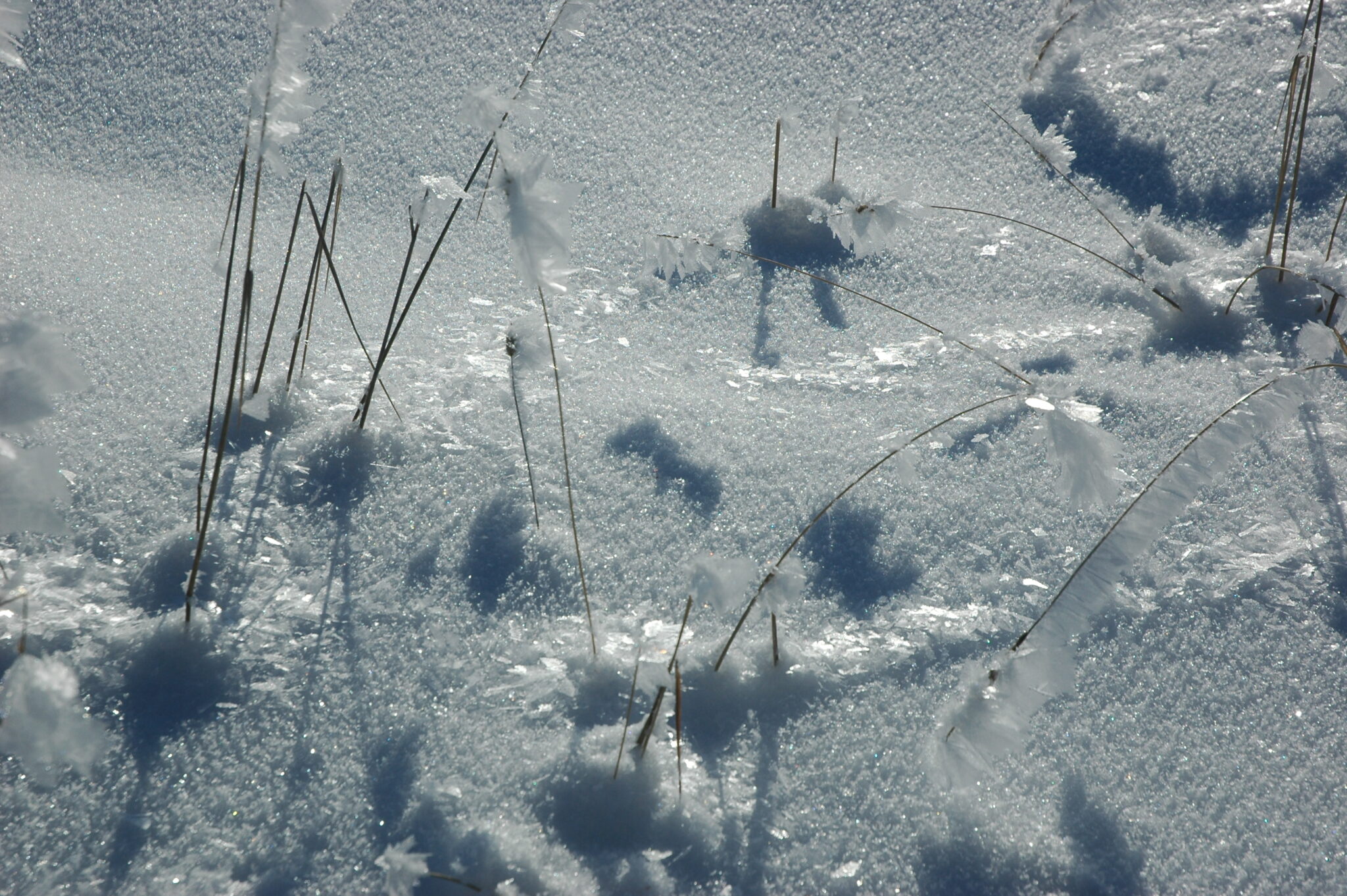 Snow Depth Measurements 2007 2021 Larch Hills Nordic Society